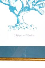 CUADRO SIENA B - Imagen 3