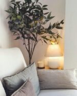 Árbol Eucalipto Pequeño