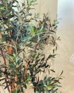 Árbol Olivo 200cm - Imagen 4