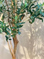 Árbol Olivo 200cm - Imagen 5