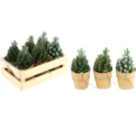 Caja 6 Arbolitos