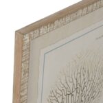 Cuadro Coral - Imagen 2